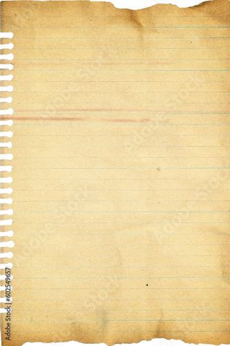 Vintage Paper with Distressed Texture and Torn Aged Edges: Rustic Brown