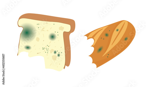 Moldy bread vector set. Inedible bread with mold illustration. Organic waste and garbage concept. Waste sorting theme. Flat vector in cartoon style isolated on white background. Mouldy bread vector.