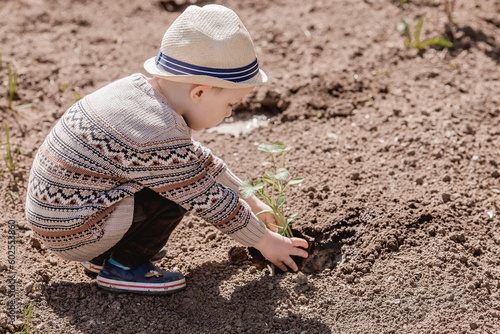 A cute boy in a hat is planting seedlings in a summer garden, outdoors. The concept of gardening and teaching a child to work.