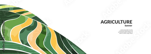 Abstract rice field agriculture vector background. Paddy rural farm plantation. Pattern of mountain landscape textured illustration. Green ecology farmland design. Summer countryside view template