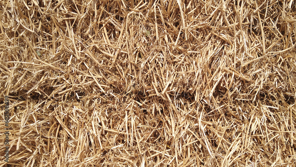Hay texture. Hay bales are stacked in large stacks.