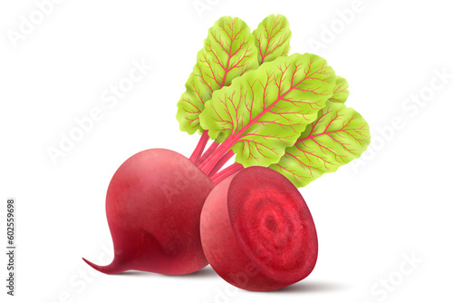Beetroot isolated on white background. Fresh red beetroot whole and a half with leaves. Realistic 3d vector illustration of vegetarian food. Delicious food for salad, soup, borscht.