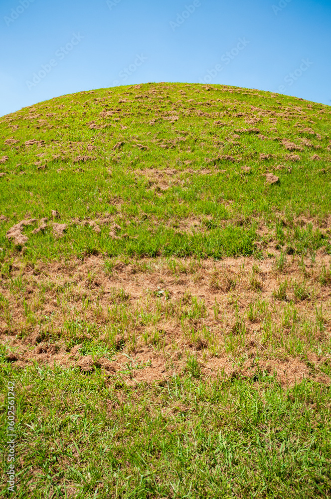 Emerald Mound in Mississippi on a Clear Day Emerald Mound in Mississippi on a Clear Day