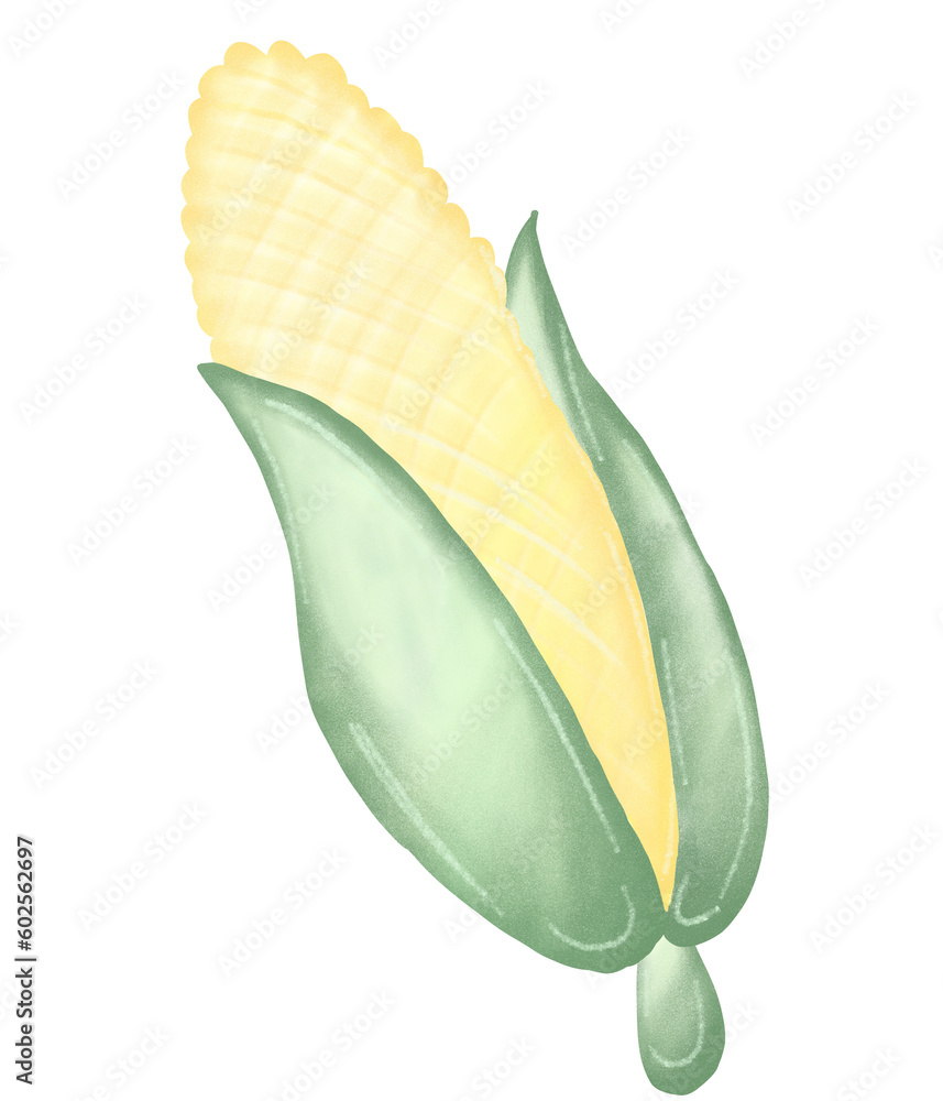 Obraz premium corn