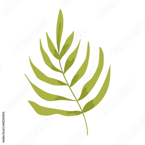 Tropic leaf, flower, colorful handrawn flat illustration.