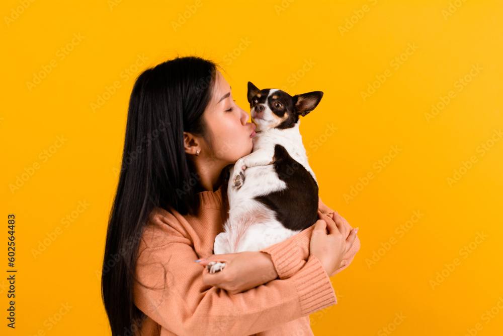 Cute Asian woman with his chihuahua chihuahua dog lover The happiness of a girl who loves his dog The love of people and cute dogs photo shoot in orange studio Cute Asian woman with his chihuahua chihuahua dog lover The happiness of a girl who loves his dog The love of people and cute dogs photo shoot in orange studio