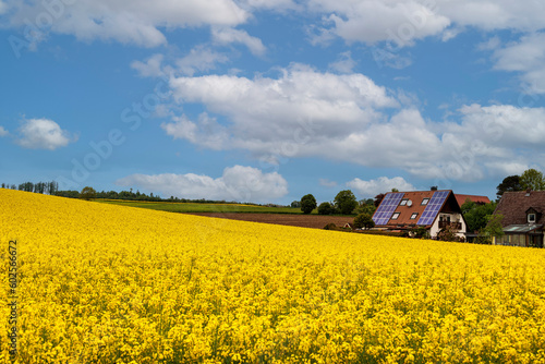 Single-family house with photovoltaic modules on the roof in front of a rape field in full bloom under a blue sky