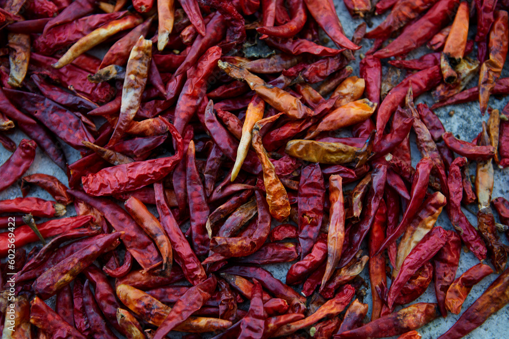 Fototapeta premium Dried red hot chili peppers