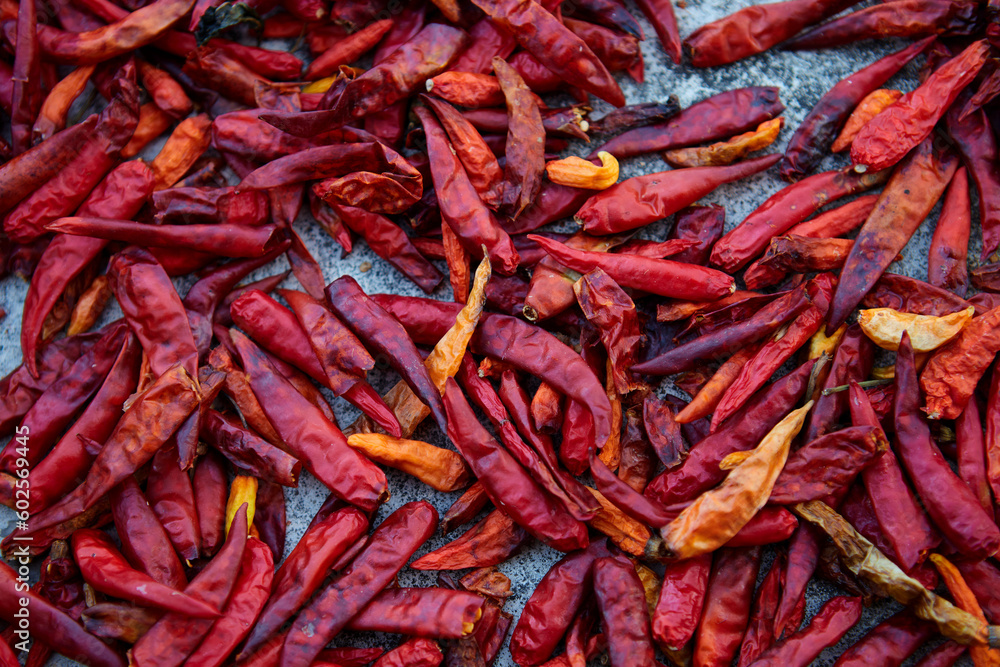 Fototapeta premium Dried red hot chili peppers