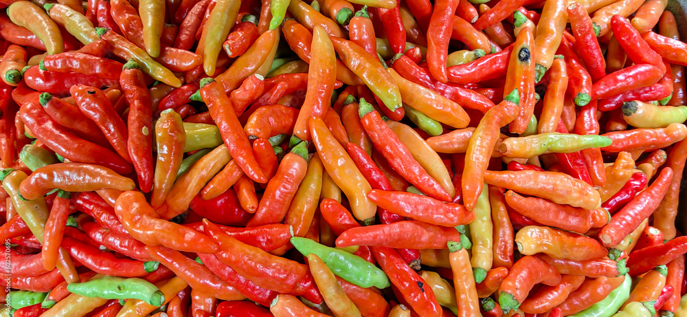 a pile of fresh Javanese chili from traditional market a pile of fresh Javanese chili from traditional market