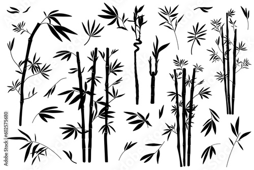 Set of illustrations of bamboo  leaves and branches  silhouette  vector 