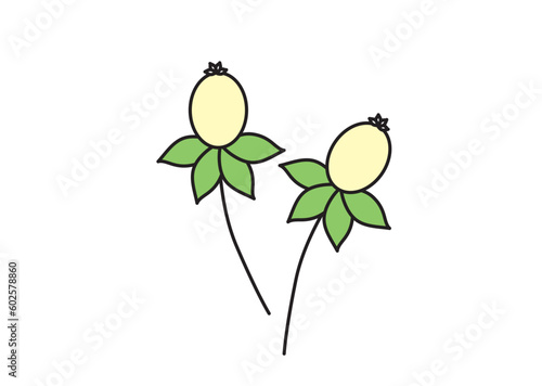 可愛いお花のイラスト