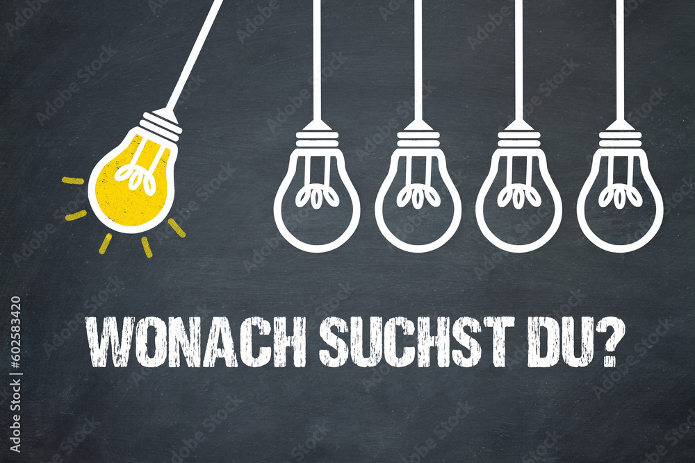 Fototapeta premium Wonach suchst du? 