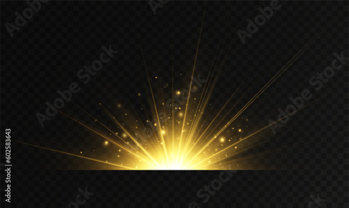 Golden particles of light. Golden light. Light flare.Stars isolated on transparent background.