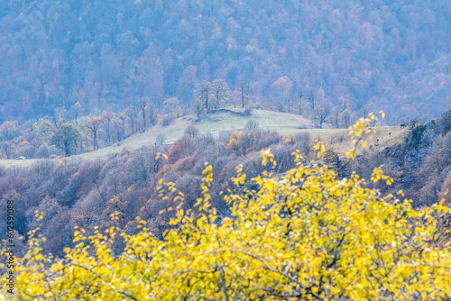 View from Mount Dimats slope on sunny autumn day. Dilijan National Park, Tavush Province, Armenia. photo