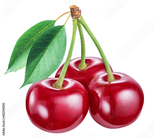 Cherries with leaves on white background. Clipping path.