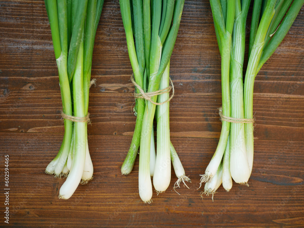 Onion harvest spring sibies scallion stem stalk wood background Allium cepa thick bulb harvesting organic plant young vegetable sprout grows ground bio farmer farming garden fresh grown organic Onion harvest spring sibies scallion stem stalk wood background Allium cepa thick bulb harvesting organic plant young vegetable sprout grows ground bio farmer farming garden fresh grown organic