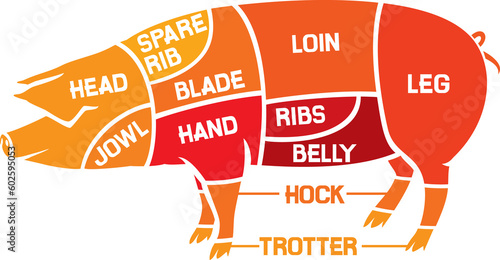 Cuts of pork - meat diagrams PNG illustration photo