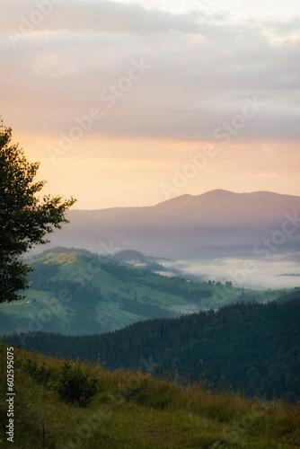 Sunrise in Carpathian mountain/ Morning in wood. Colorful landscape with woods in fog, sunbeams, sky, forest at dawn in fall. Top view