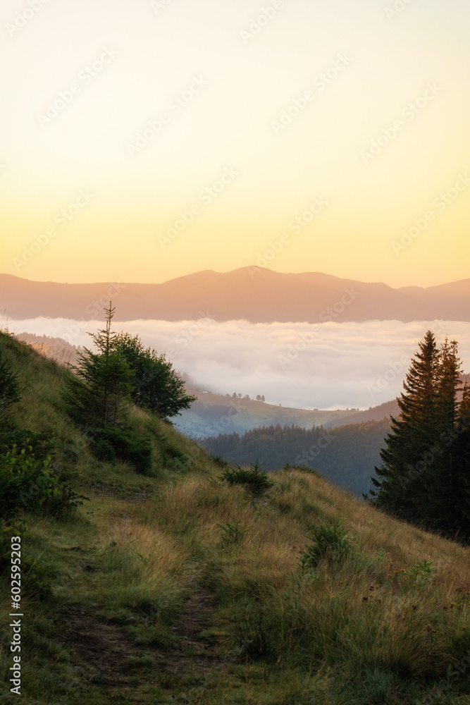 Sunrise in Carpathian mountain/ Morning in wood. Colorful landscape with woods in fog, sunbeams, sky, forest at dawn in fall. Top view