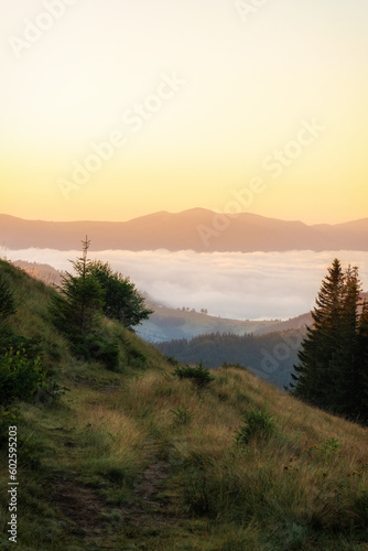 Sunrise in Carpathian mountain  Morning in wood. Colorful landscape with woods in fog  sunbeams  sky  forest at dawn in fall. Top view