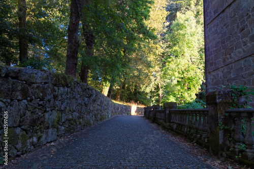 Surroundings of Mondariz, Galicia. Spain. photo