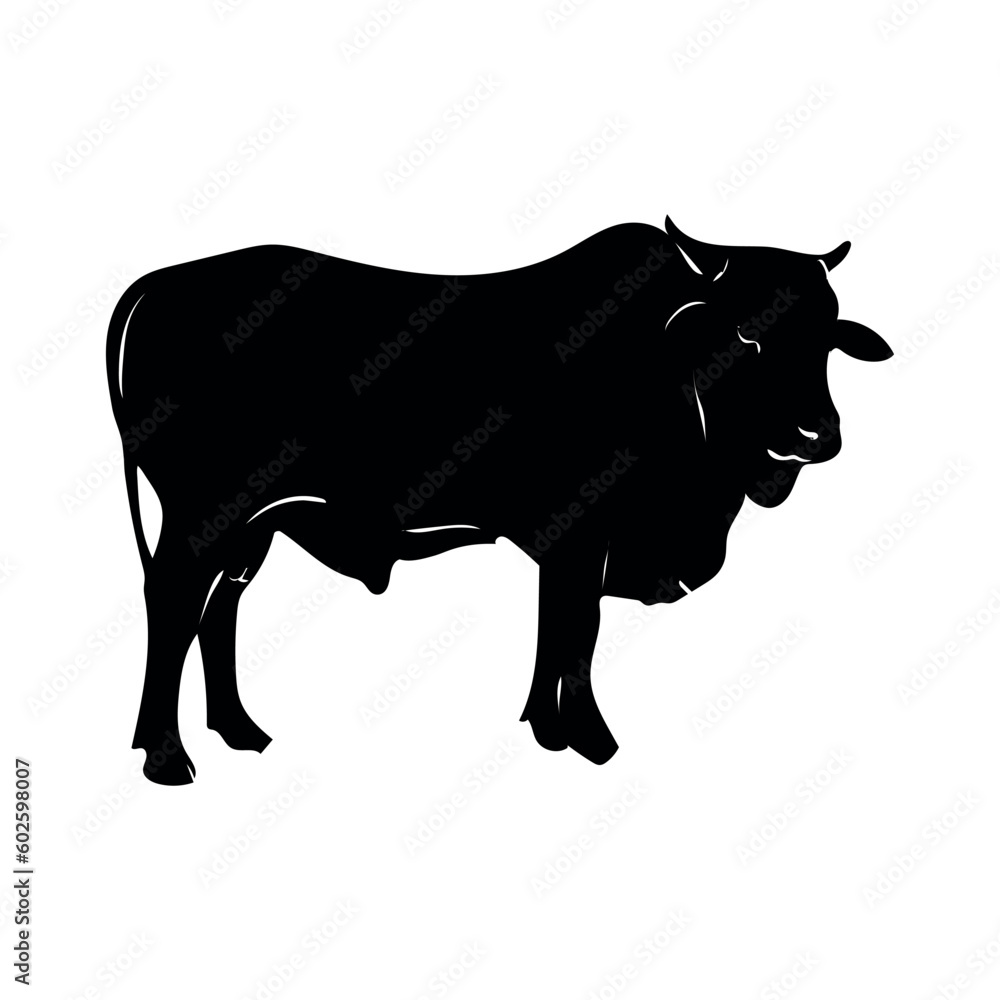 Set of cows. Black silhouette cow isolated on white. Set of cows. Black silhouette cow isolated on white.