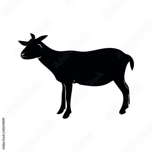 A black goat is silhouetted against a white background.