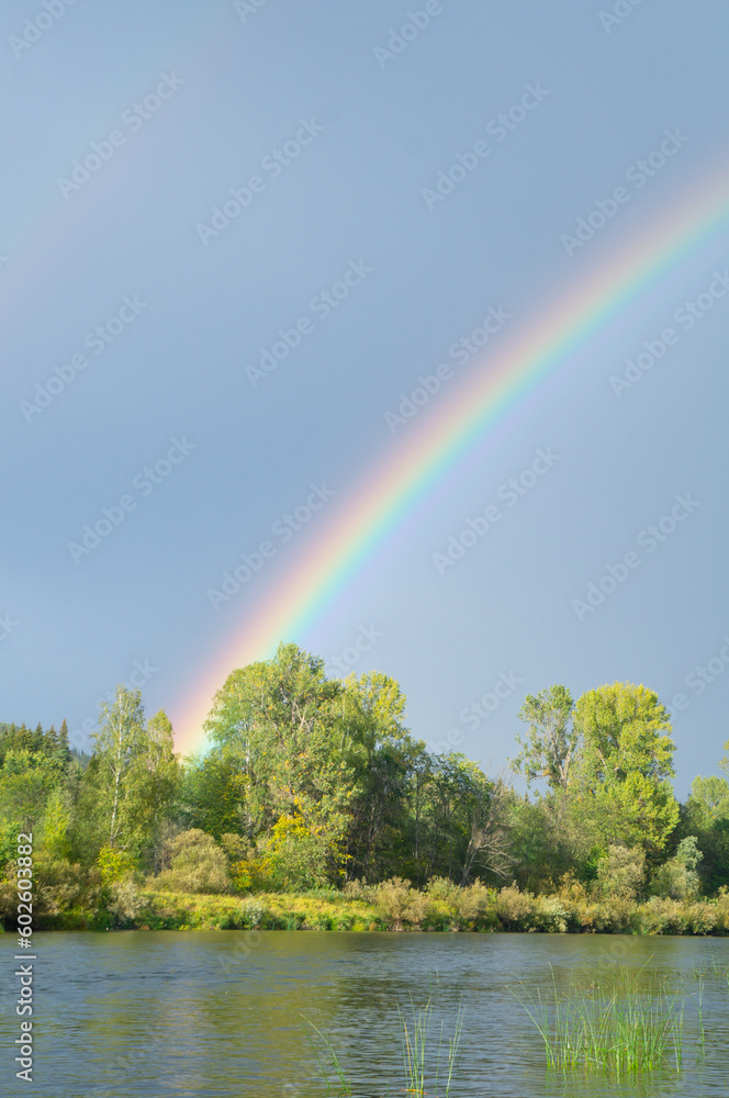 Bright rainbow among the trees on the river bank on summer evening after rain. Bright rainbow among the trees on the river bank on summer evening after rain.