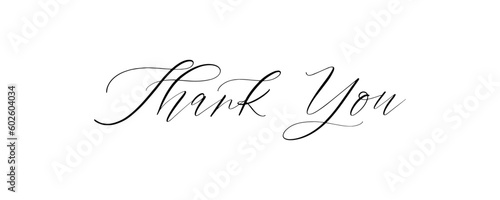 thank you lettering, thank you card, ready to print, vector hand drawn lettering, banner, borderline 