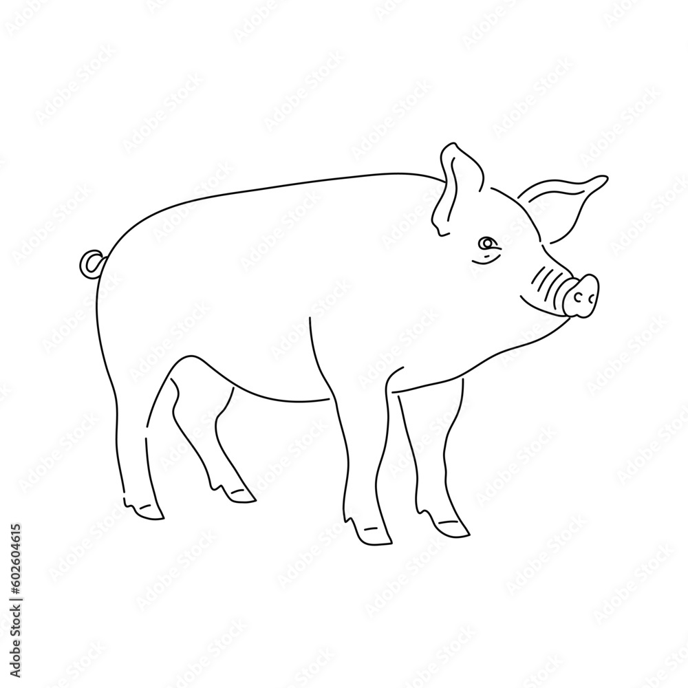Hand drawn pig isolated on white background. Vector.