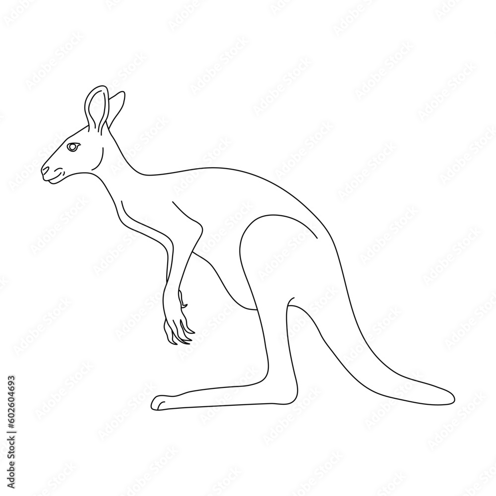 Fototapeta premium Kangaroo in line art drawing style. Vector illustration.