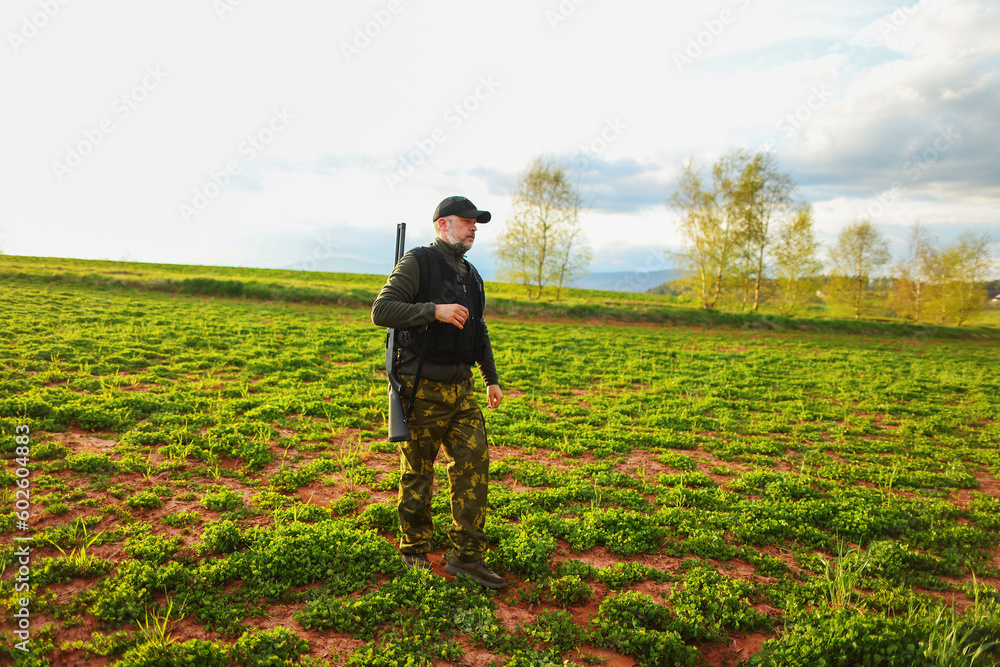 Hunter with a hunting gun on the back walking around field. Rifle hunter in Sunset. Hunter with a hunting gun on the back walking around field. Rifle hunter in Sunset.