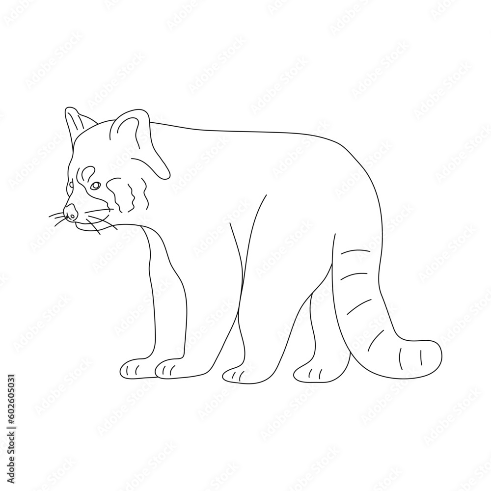 Doodle of Red panda. Hand drawn vector illustration. Doodle of Red panda. Hand drawn vector illustration.