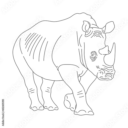 Sketch of Rhinoceros drawn by hand. Vector hand drawn illustration.