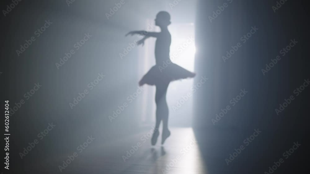 A ballerina performs slow-motion ballet exercises in the spotlight. Refined, smooth and graceful movements during the performance of the dance. High quality 4k footage A ballerina performs slow-motion ballet exercises in the spotlight. Refined, smooth and graceful movements during the performance of the dance. High quality 4k footage