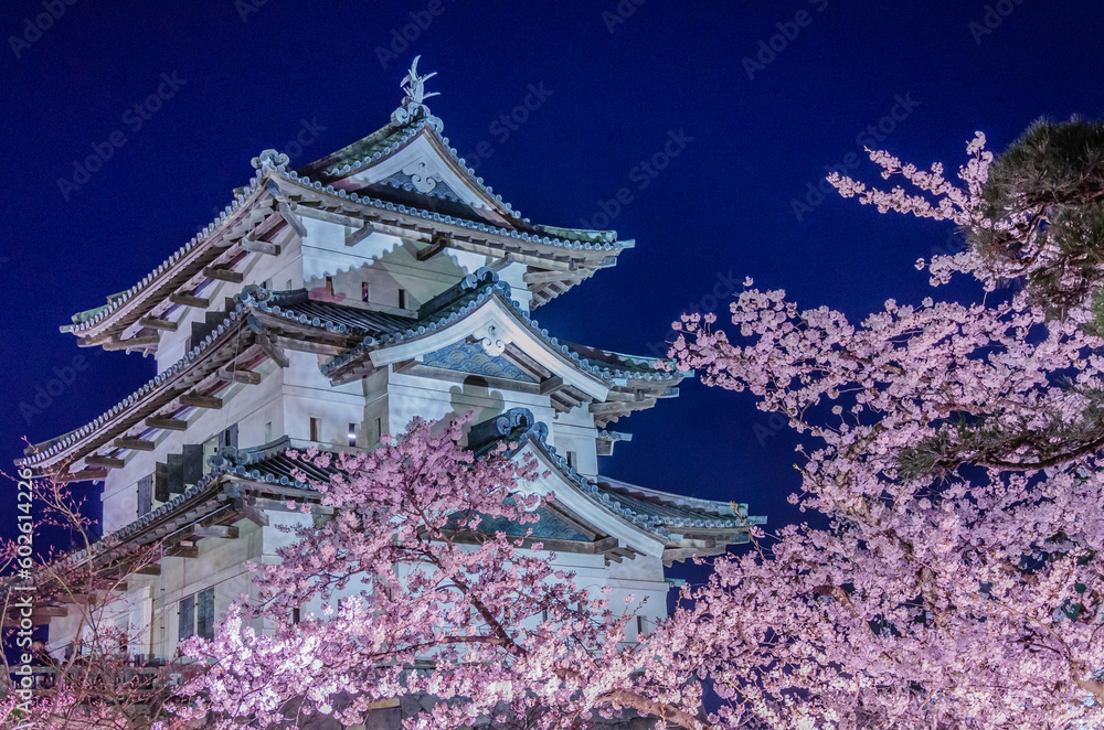 弘前公園の夜桜ライトアップ 弘前公園の夜桜ライトアップ