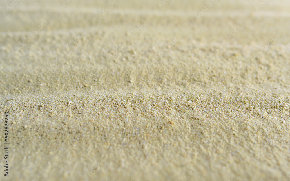 The texture of the sand on the sea coast. There is space for text. The texture of the sand on the sea coast. There is space for text.