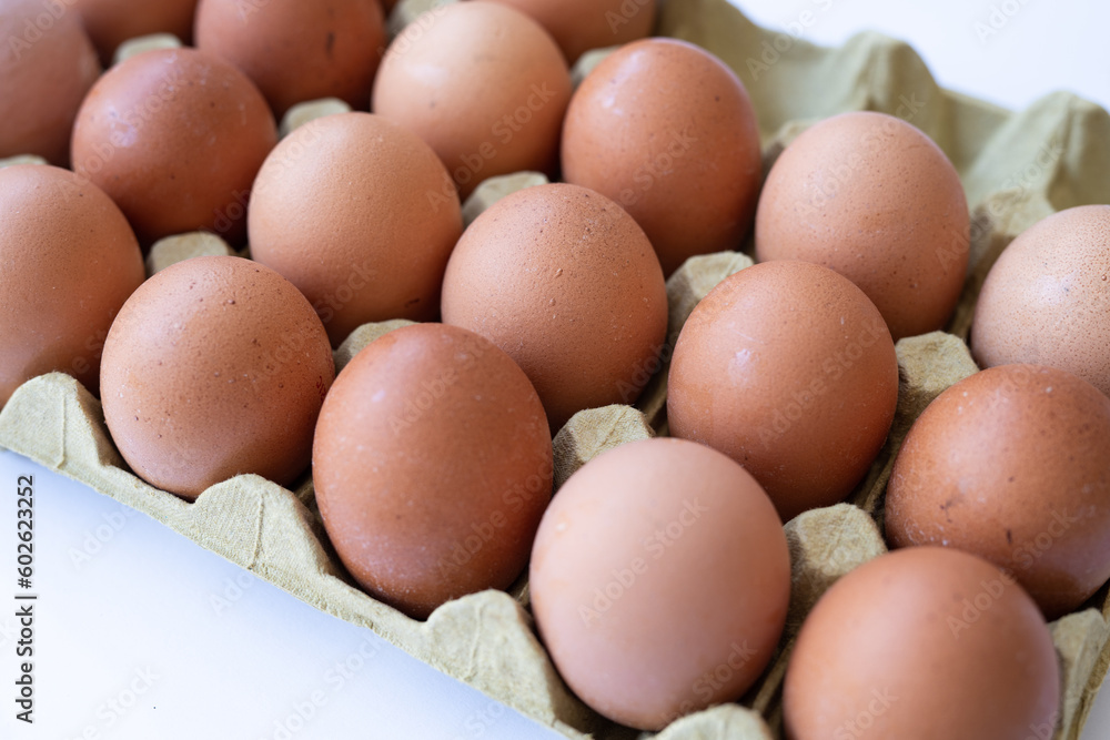 Fresh chicken brown eggs in a tray on a white background