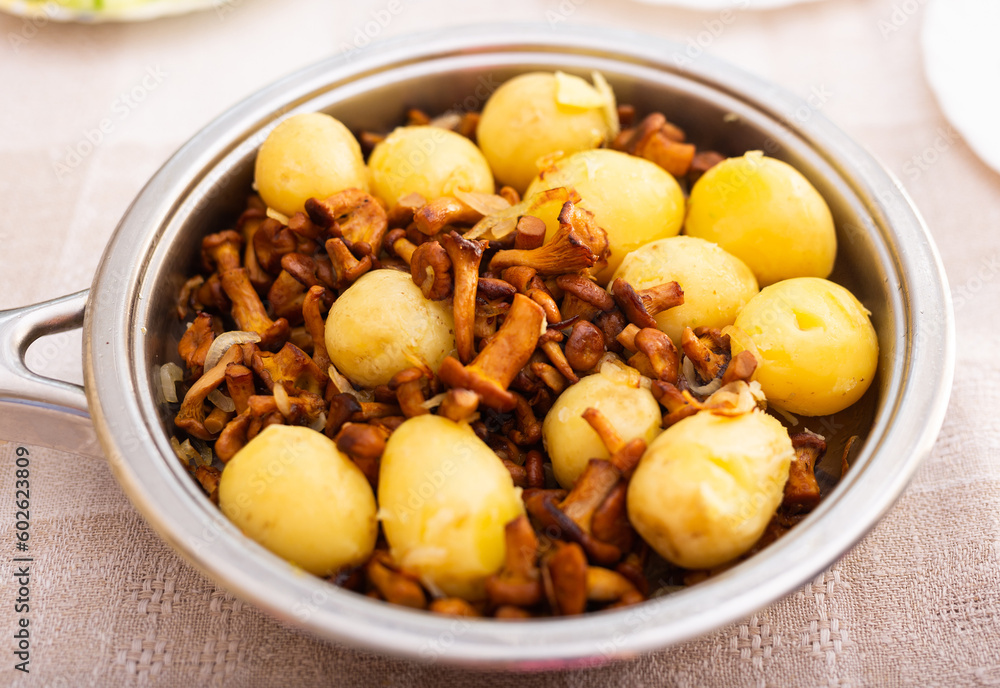 traditional dishes of Eastern European cuisine. Fried chanterelles with young potatoes in pan traditional dishes of Eastern European cuisine. Fried chanterelles with young potatoes in pan
