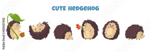 Cute hedgehog characters set for kids prints flat vector illustration isolated.