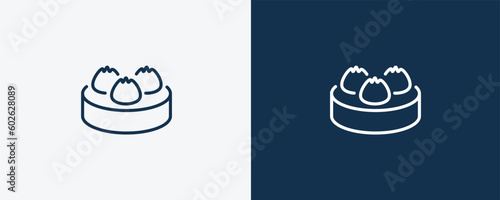 dim sum icon. Outline dim sum icon from hotel and restaurant collection. Linear vector isolated on white and dark blue background. Editable dim sum symbol.