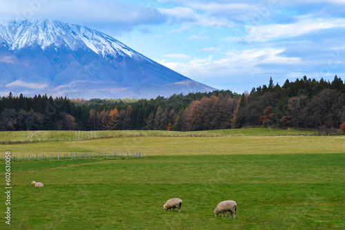 岩手山と小岩井農場と羊