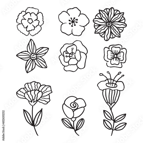 Set of flower hand drawn vector