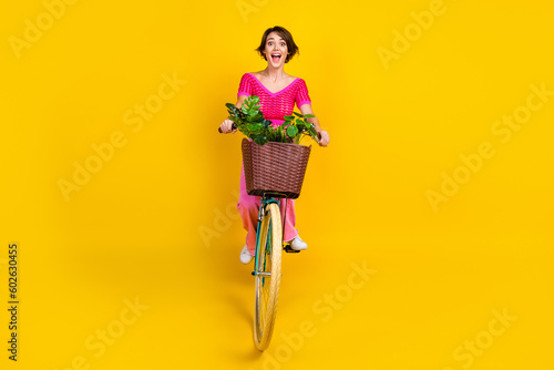 Full length photo of impressed ecstatic woman wear pink knit top trousers riding bicycle with flower isolated on yellow color background photo