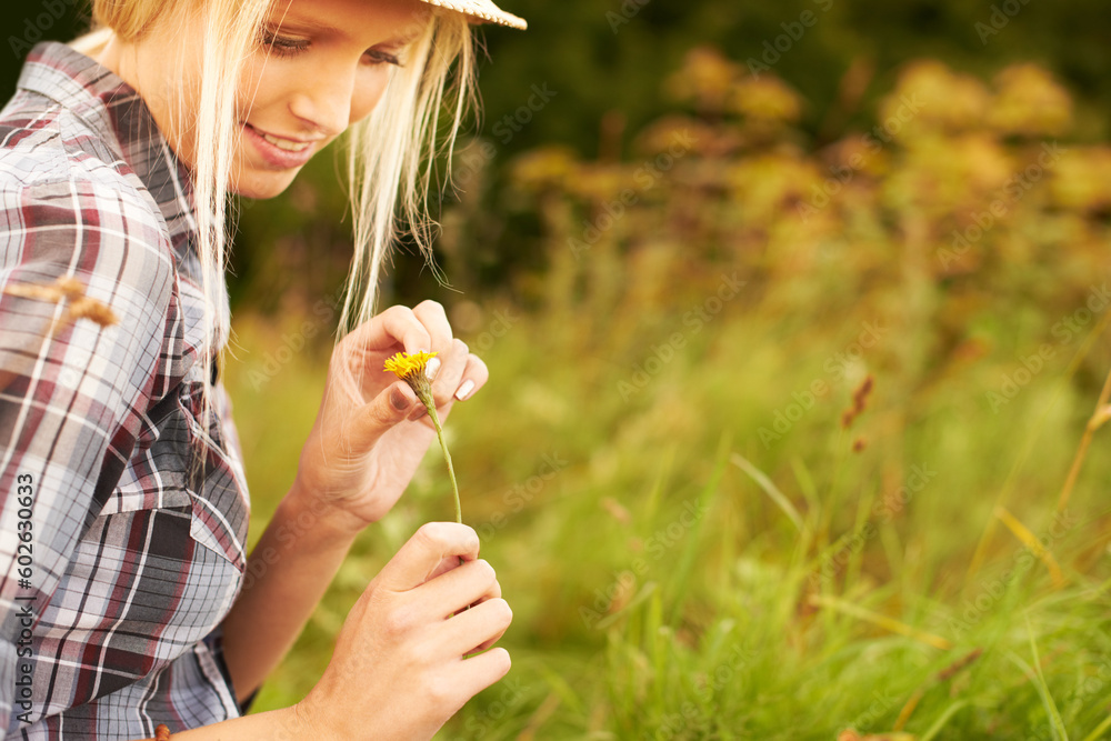 Spring, meadow and woman pick flower in field for freedom, wellness and fresh air outdoors. Nature, sunshine and happy hipster female person in countryside for relax, sustainability and ecology Spring, meadow and woman pick flower in field for freedom, wellness and fresh air outdoors. Nature, sunshine and happy hipster female person in countryside for relax, sustainability and ecology
