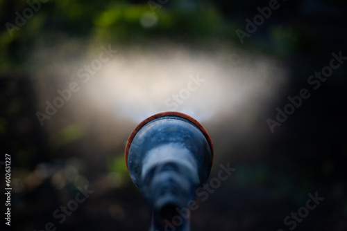 watering in vegetable garden organic gardening