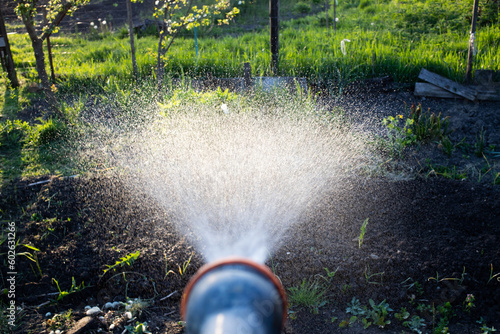 watering in vegetable garden organic gardening