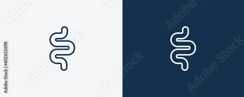 intestine icon. Outline intestine icon from medical collection. Linear vector isolated on white and dark blue background. Editable intestine symbol
