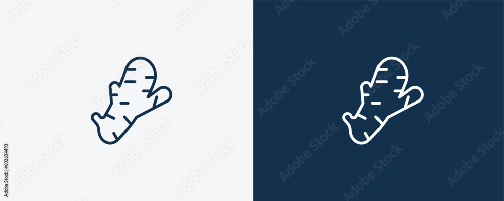 ginger icon. Outline ginger icon from vegetables and fruits collection. Linear vector isolated on white and dark blue background. Editable ginger symbol.